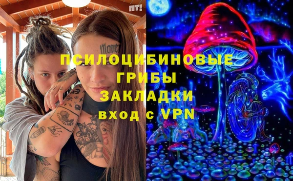 ALPHA PVP Алексин
