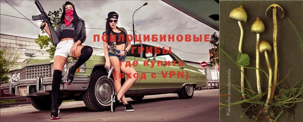 не бодяженный Алзамай